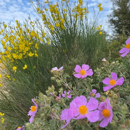 Apartment Sunhill Deluxe Lea *