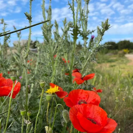 Apartment Sunhill Deluxe Lea Primosten