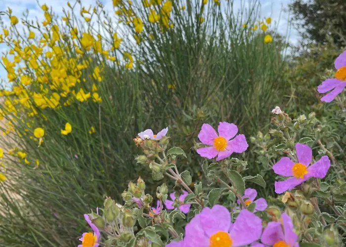 Appartement Sunhill Deluxe Lea *