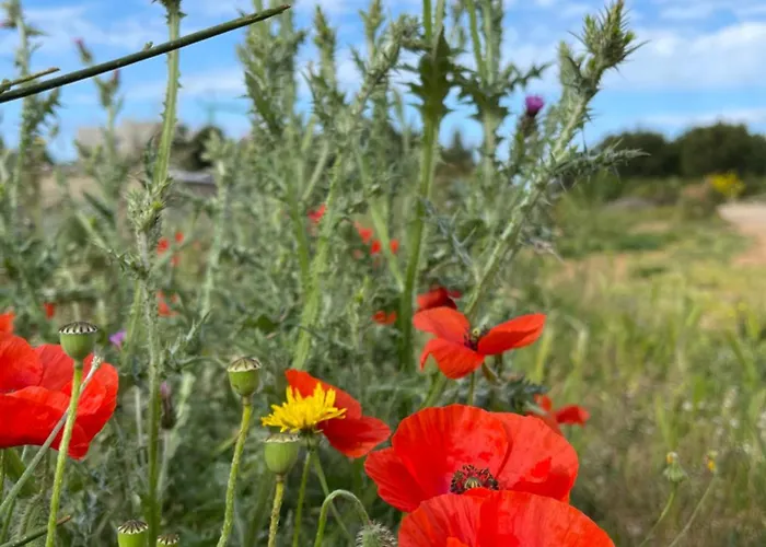 Appartement Sunhill Deluxe Lea Primošten